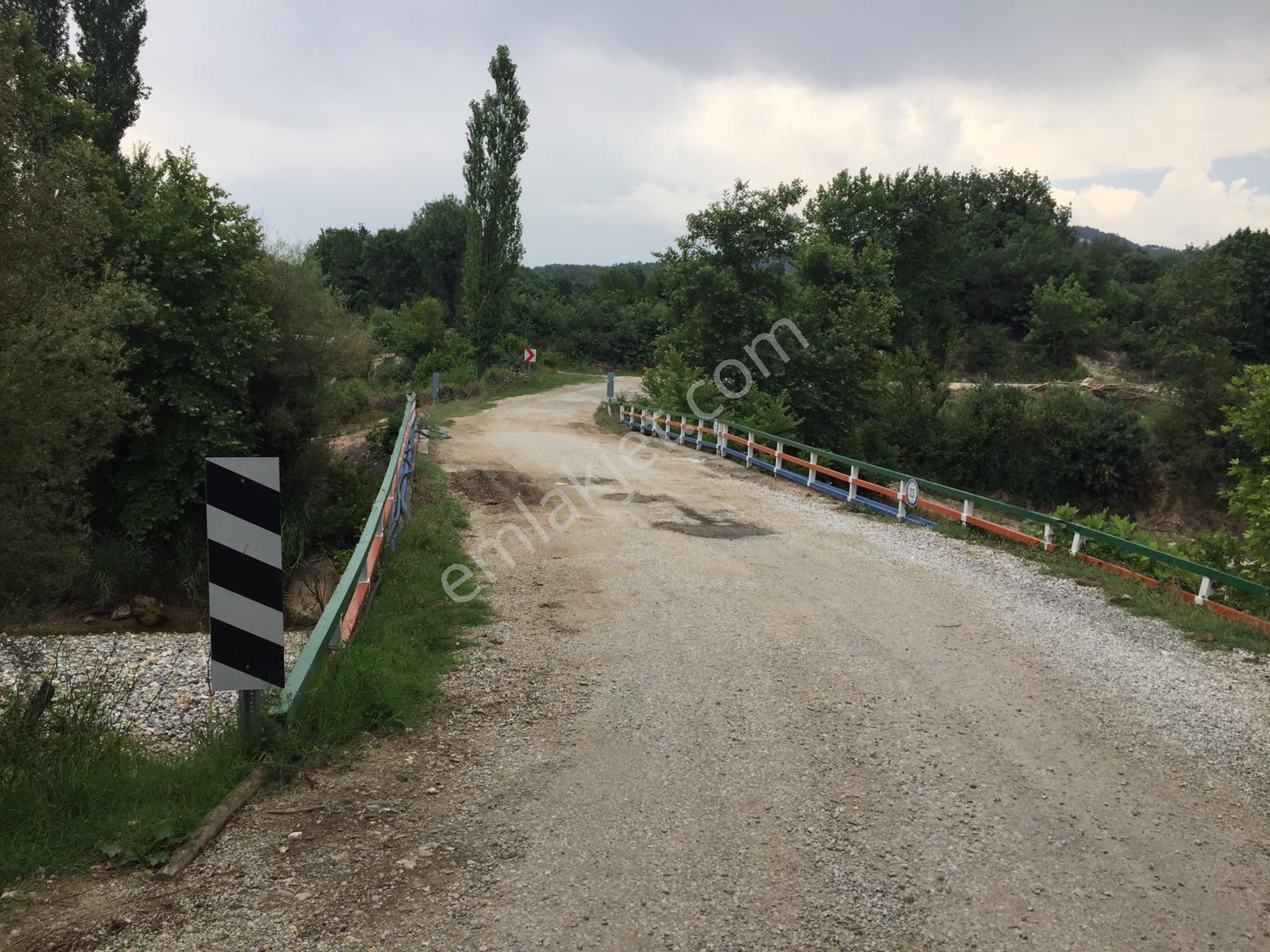 Muğla Merkez Göktepe Köyün De 12980.m2 Yolu Olan Tarla - Görsel 4