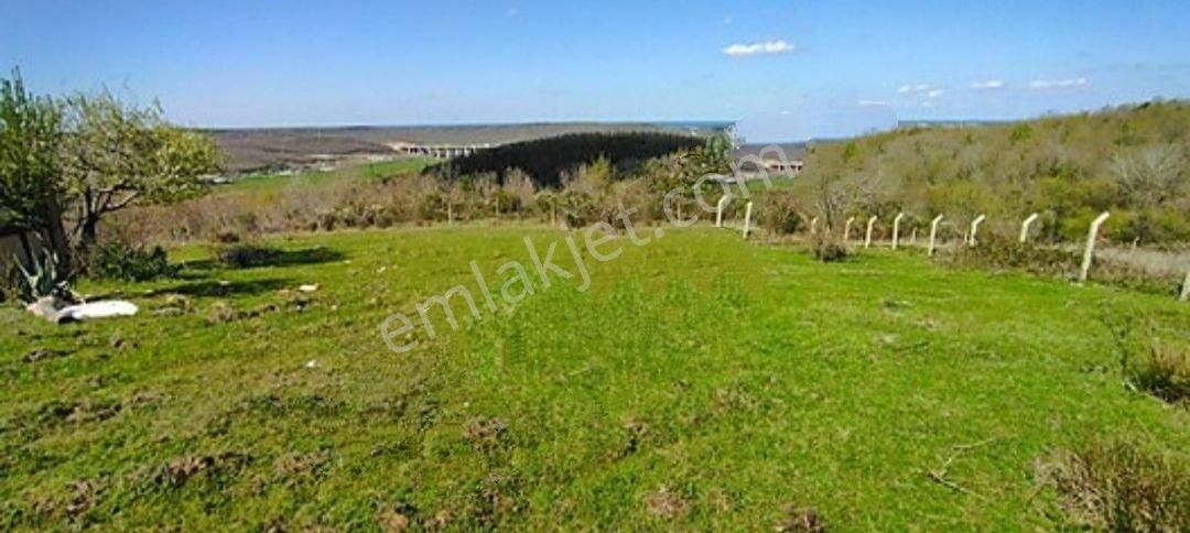 Beykoz,mahmut Şevket Paşa'da Doğa İçinde Satılık Arsa - Görsel 4