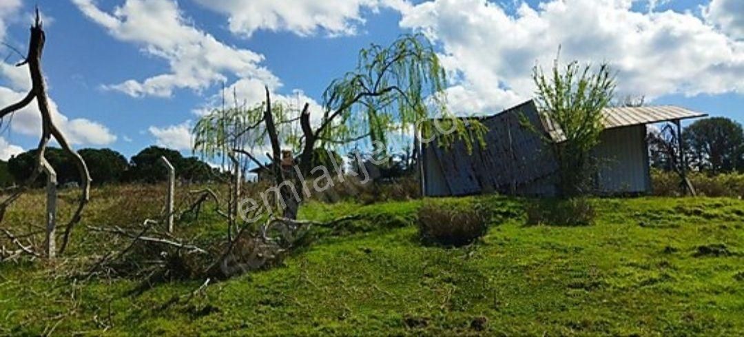 Beykoz,mahmut Şevket Paşa'da Doğa İçinde Satılık Arsa - Görsel 3