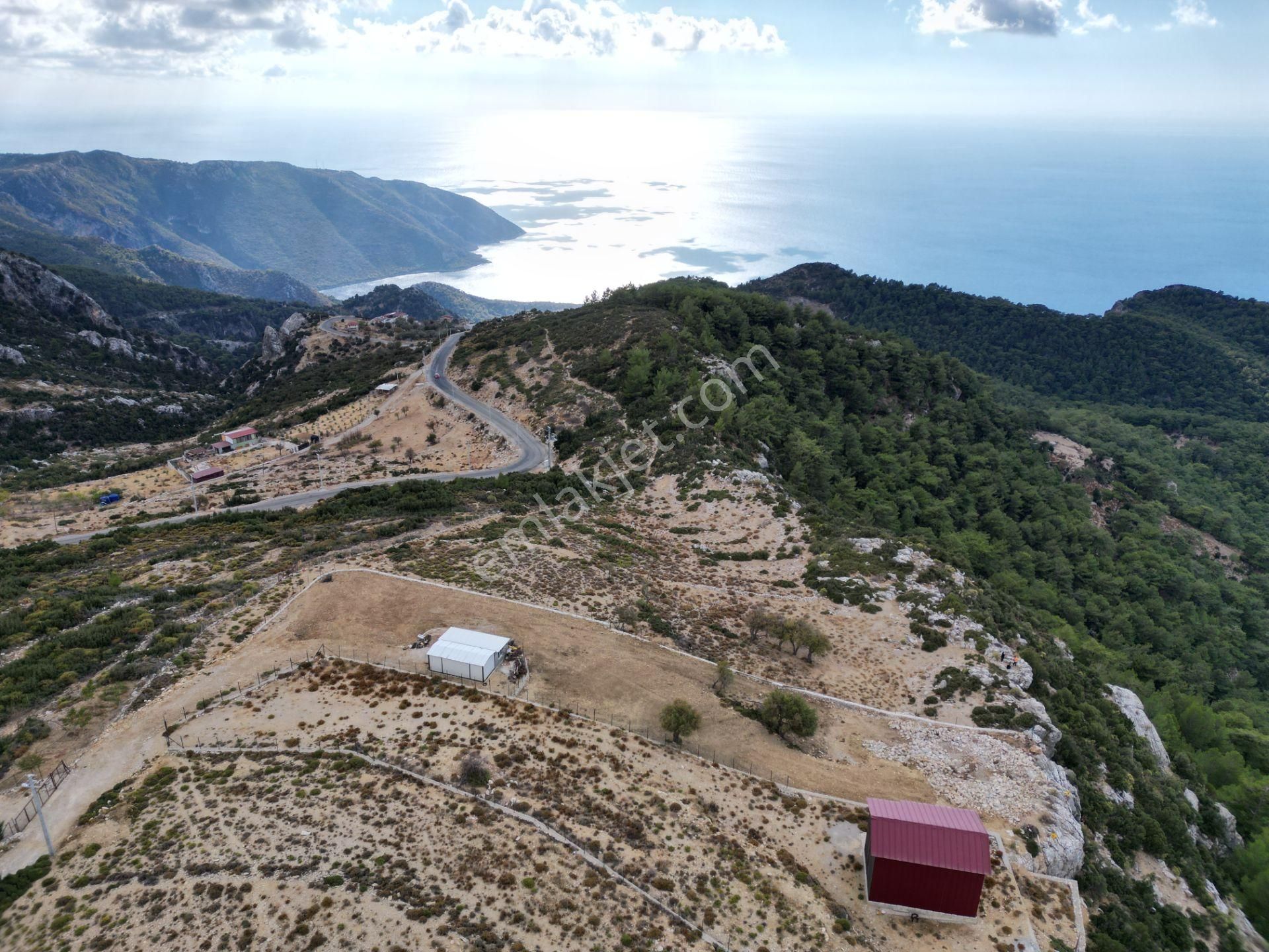 Goldhouse Dan Satılık Tarla Panoramik Deniz Manzaralı Fırsat Tarla - Görsel 5