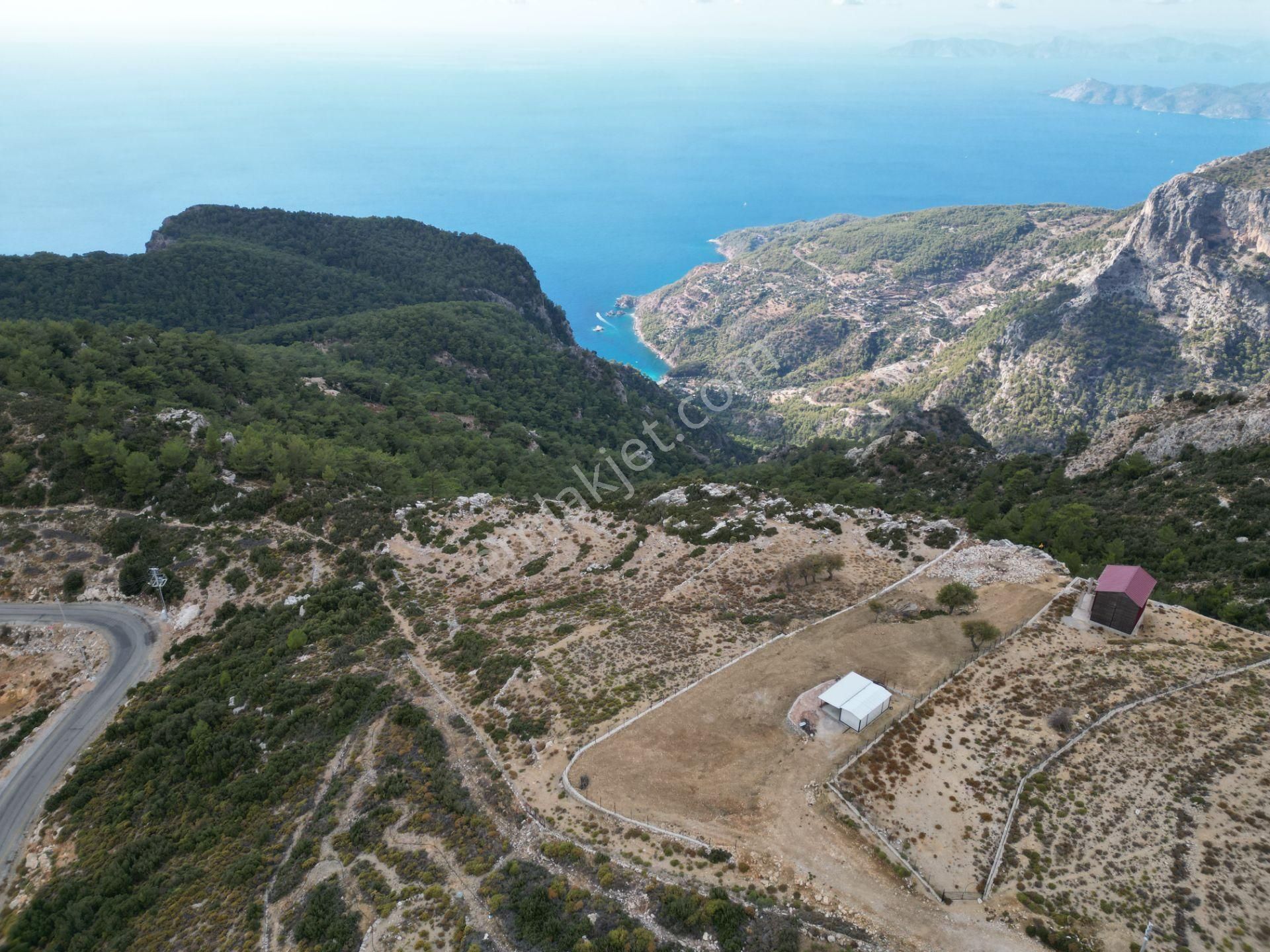 Goldhouse Dan Satılık Tarla Panoramik Deniz Manzaralı Fırsat Tarla - Görsel 7