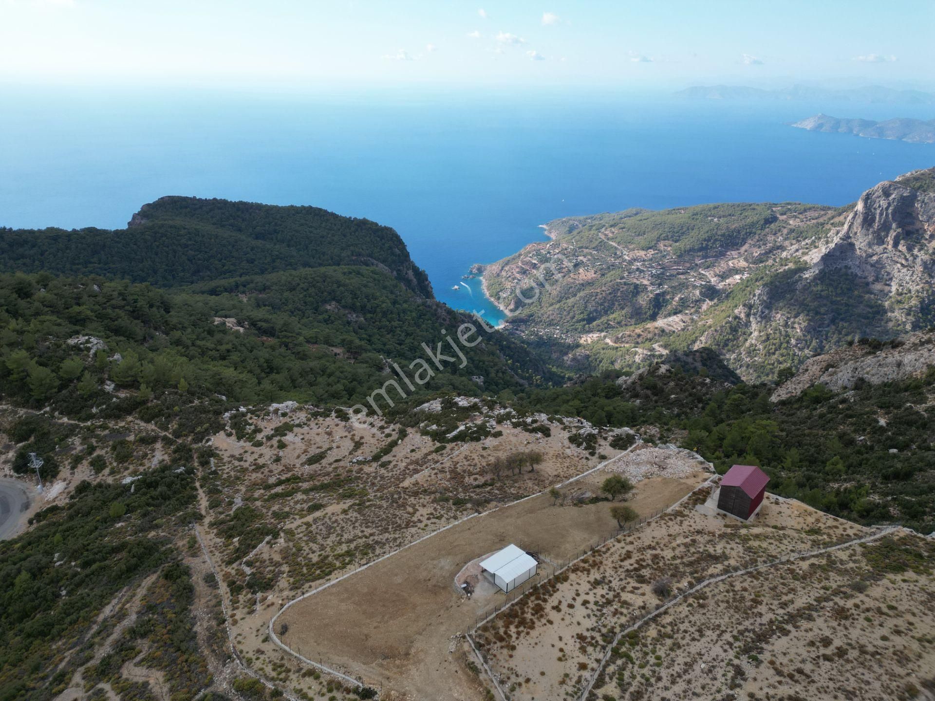 Goldhouse Dan Satılık Tarla Panoramik Deniz Manzaralı Fırsat Tarla - Görsel 6