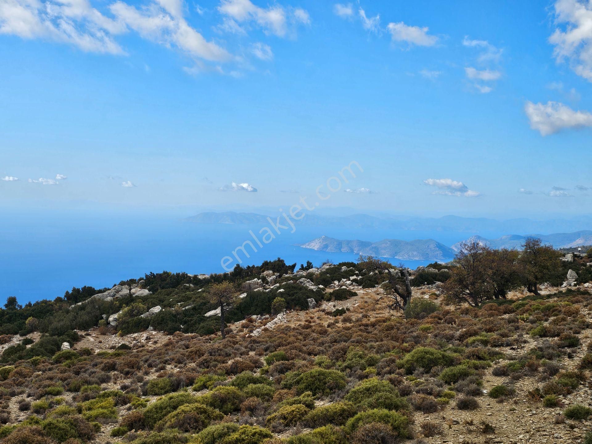 Goldhouse Dan Satılık Tarla Panoramik Deniz Manzaralı Fırsat Tarla - Görsel 10