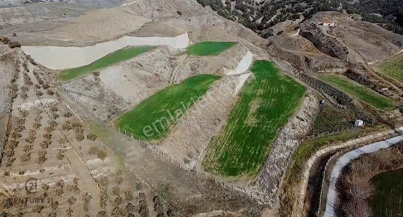 Pamukkale Kocadere Satılık Tarla Pamukkale Kocadere'de Tel Örgüyle Çevrili Satılık Tarla