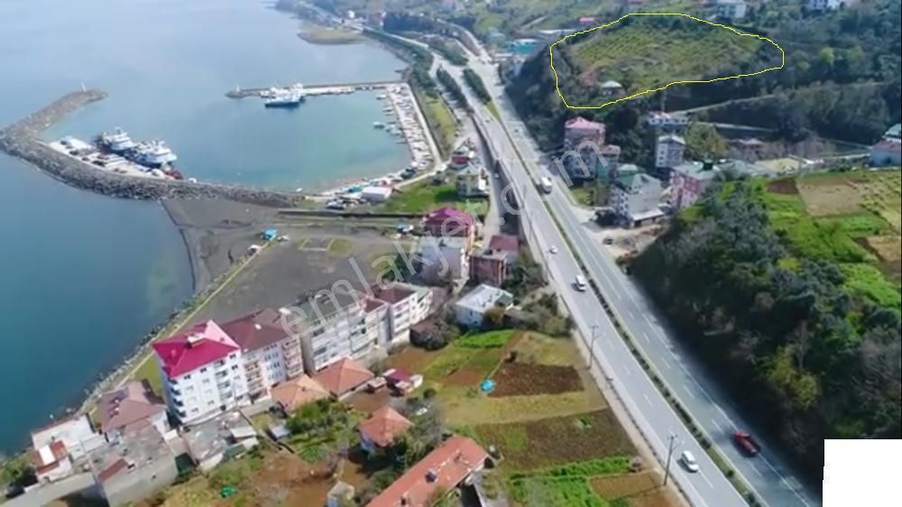 Akçaabat Akçakale'de Yatırımlık Villa Ve Konut İmarlı Fırsat Arsa - Görsel 7