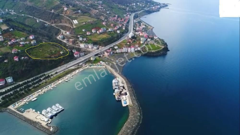 Akçaabat Akçakale'de Yatırımlık Villa Ve Konut İmarlı Fırsat Arsa - Görsel 3