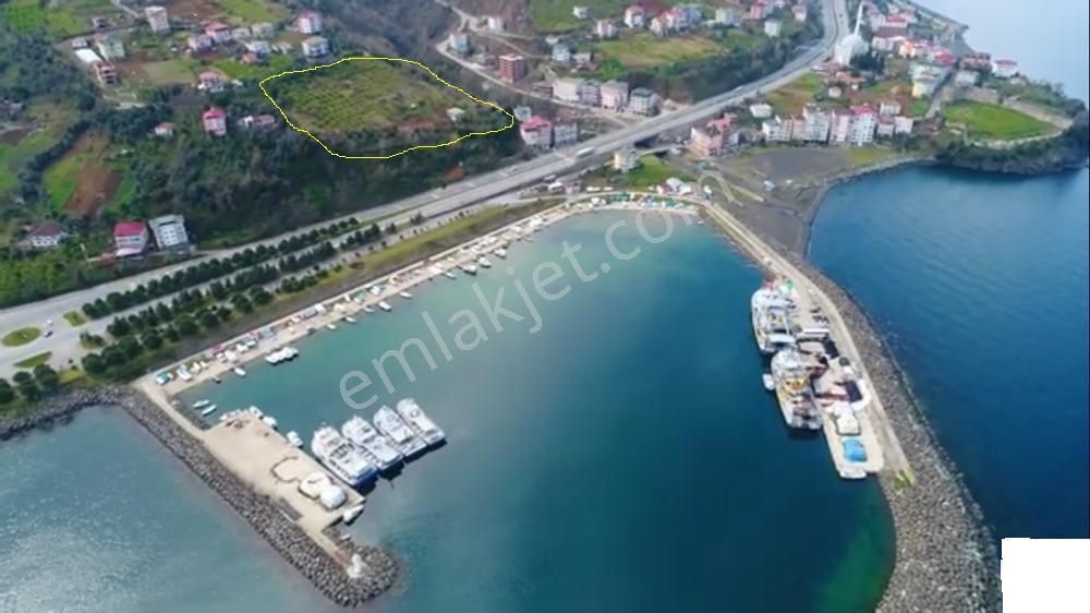 Akçaabat Akçakale'de Yatırımlık Villa Ve Konut İmarlı Fırsat Arsa - Görsel 9