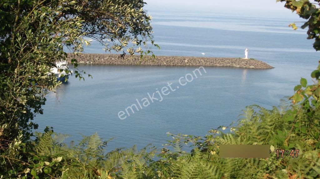 Akçaabat Akçakale'de Yatırımlık Villa Ve Konut İmarlı Fırsat Arsa - Görsel 5