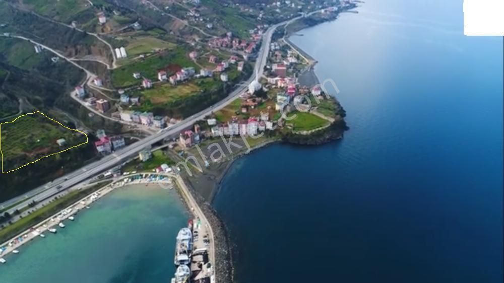 Akçaabat Akçakale'de Yatırımlık Villa Ve Konut İmarlı Fırsat Arsa - Görsel 12