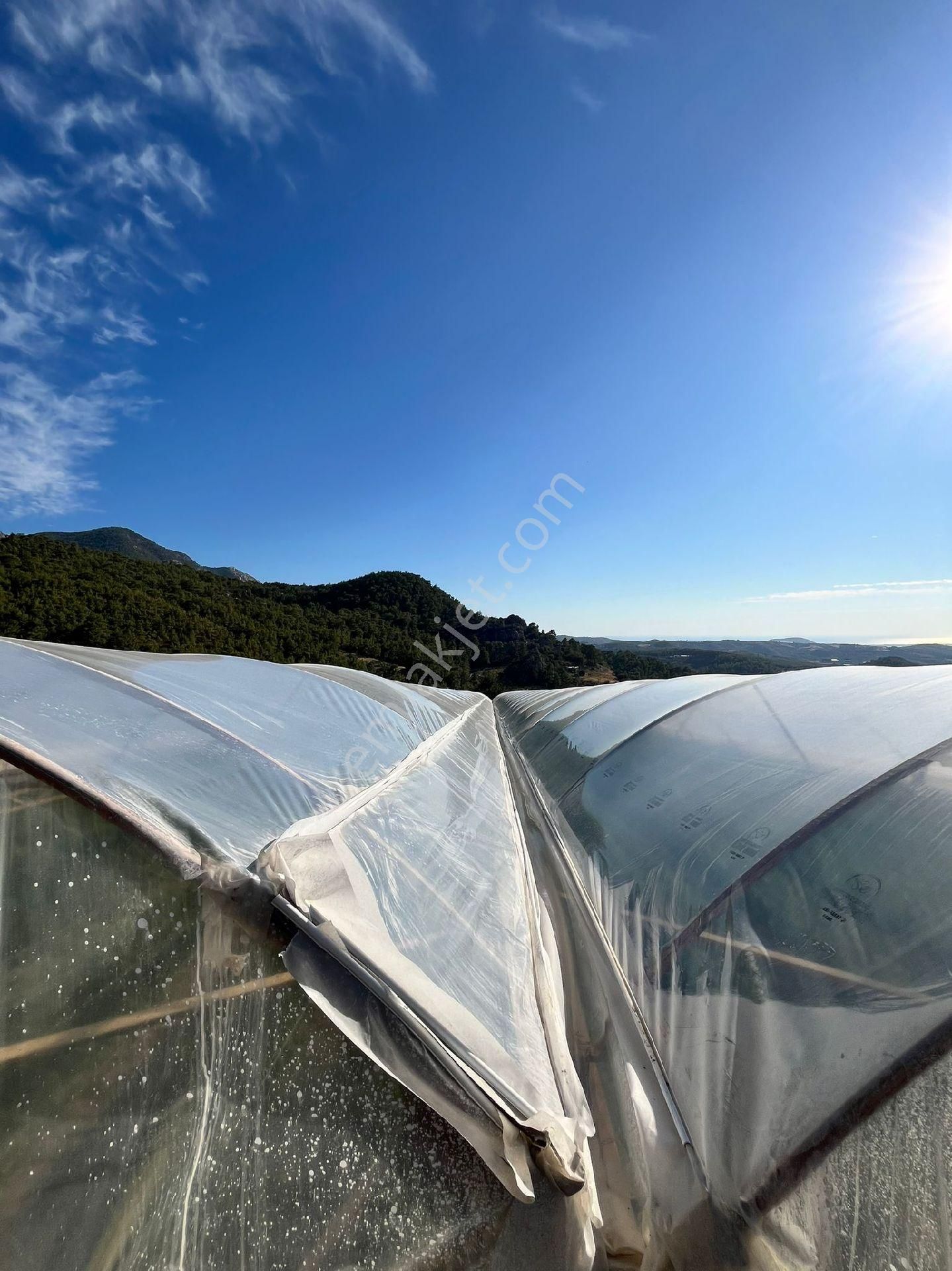 Antalya Kumluca Nın Göz Bebeği İncircik De Satılık Tarla.sera Ve Evler - Görsel 9
