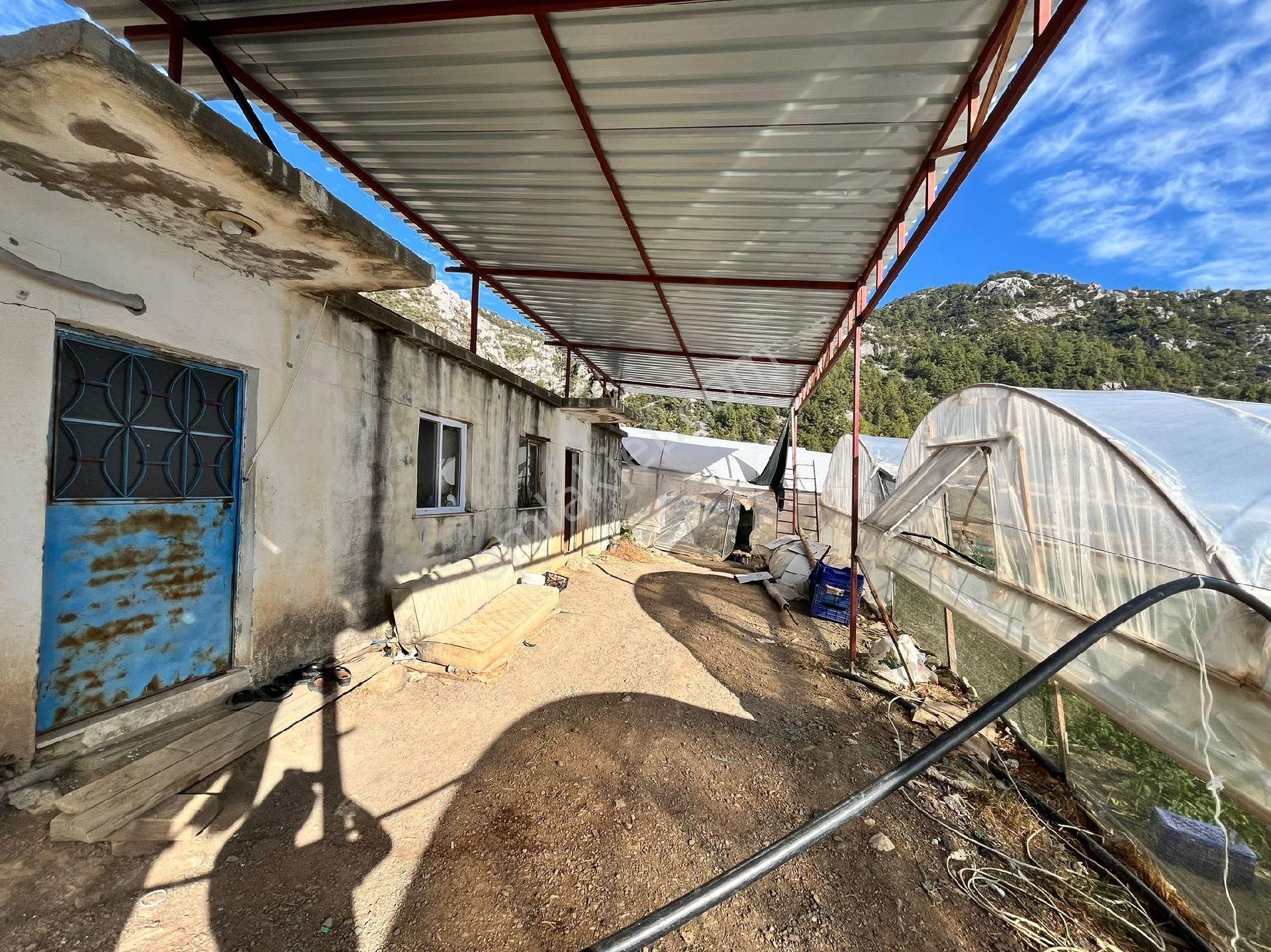 Kumluca İncircik Satılık Tarla Antalya Kumluca Nın Göz Bebeği İncircik De Satılık Tarla.sera Ve Evler