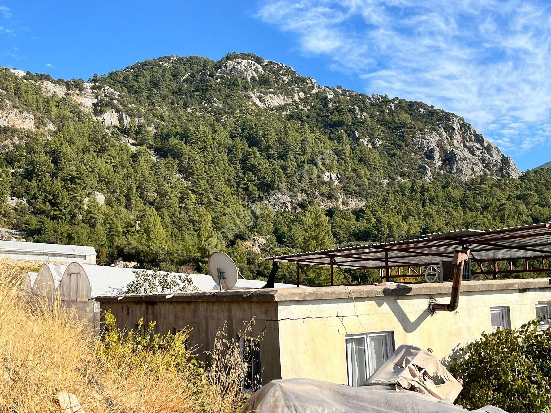 Antalya Kumluca Nın Göz Bebeği İncircik De Satılık Tarla.sera Ve Evler - Görsel 6