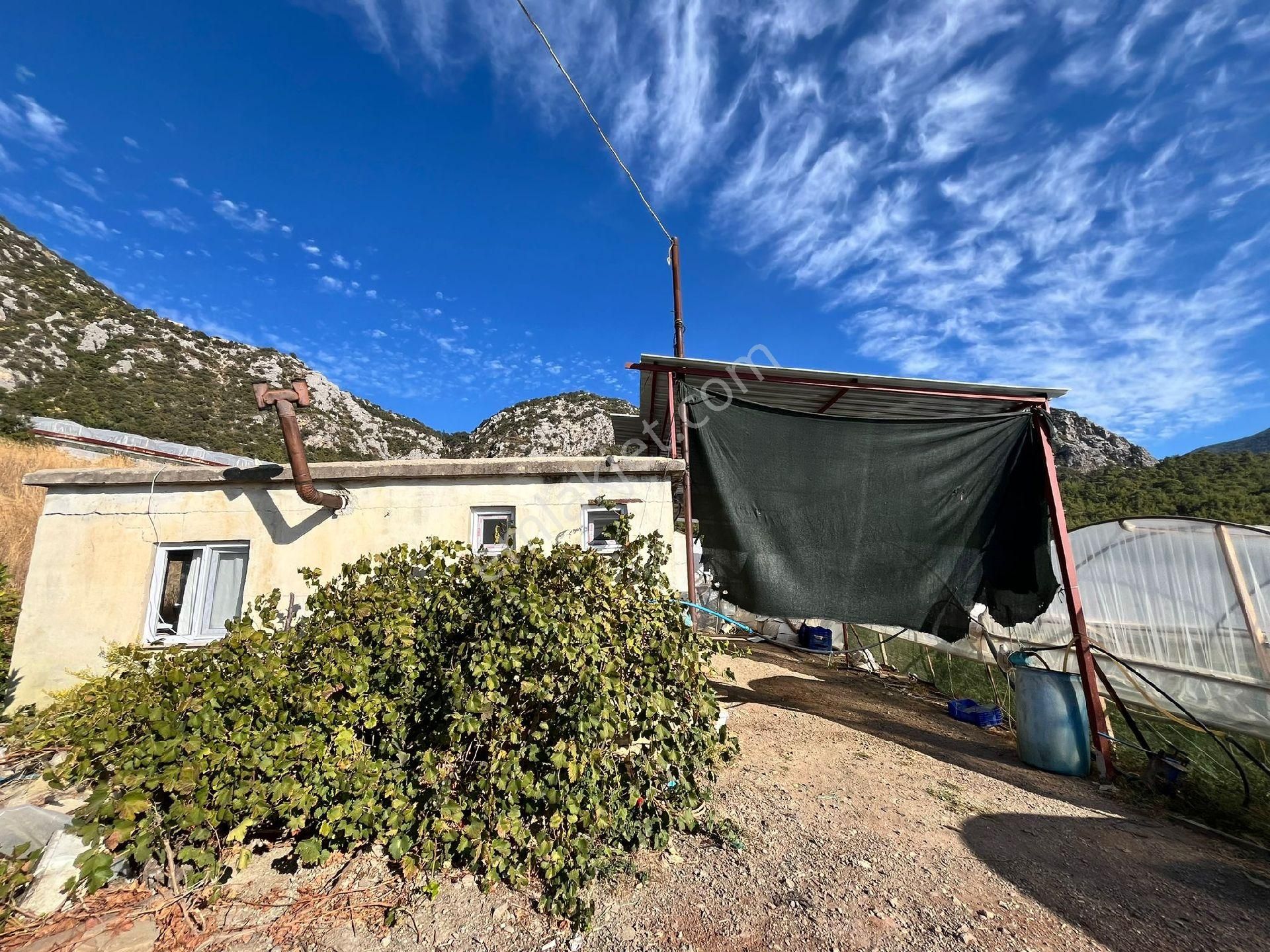 Antalya Kumluca Nın Göz Bebeği İncircik De Satılık Tarla.sera Ve Evler - Görsel 2