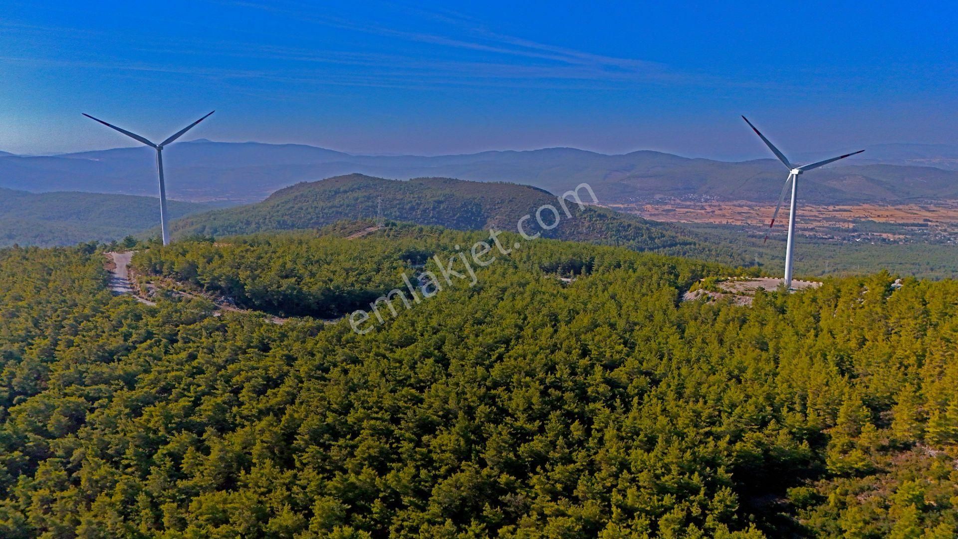 Bodrum Mazı Mahallesin'de Tabiatın İçinde 1,500 M2 Satılık Tarla - Görsel 5