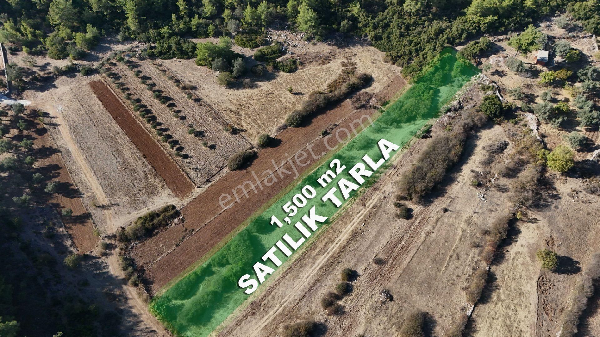 Bodrum Mazı Mahallesin'de Tabiatın İçinde 1,500 M2 Satılık Tarla - Görsel 2