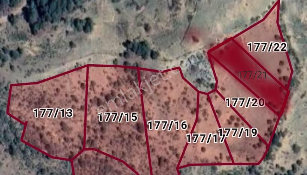 Gazipaşa Yeniköy Satılık Tarla YENİKÖY GAZİPAŞA 45.529M2 DOĞA ŞEHİR MANZARA YOL CEPHE 5.000.000TL