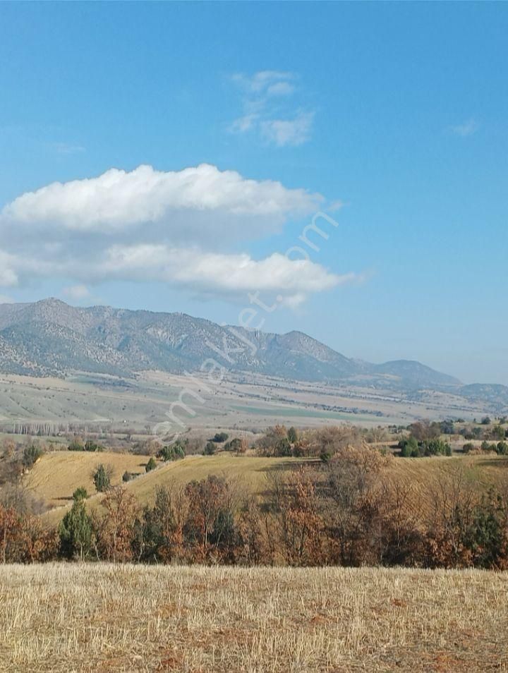 Mecitözü Kargı Köyü Satılık Tarla SAHİBİNDEN SATILIK SÜPER KONUMDA TARLA 