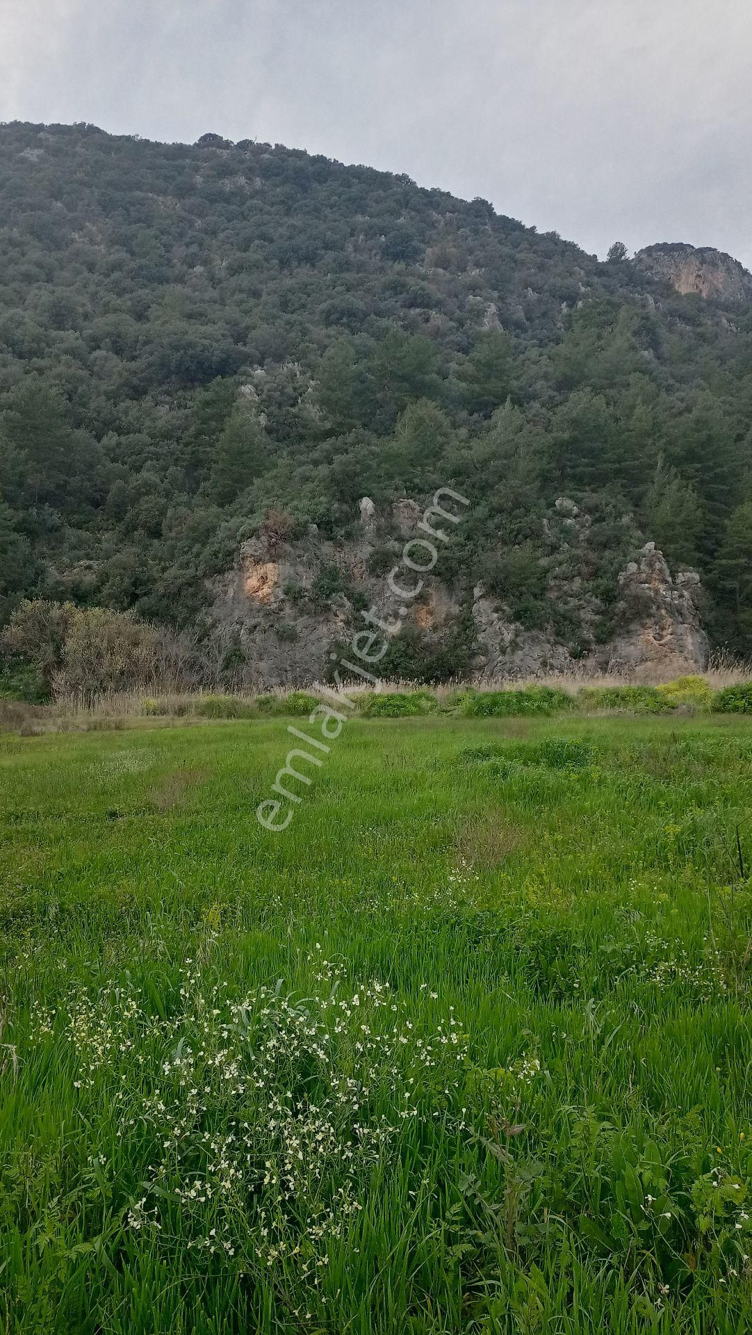 Muğla Ortaca Mergenli Aşı Koyu Yolunda Satılık Tarla - Görsel 2