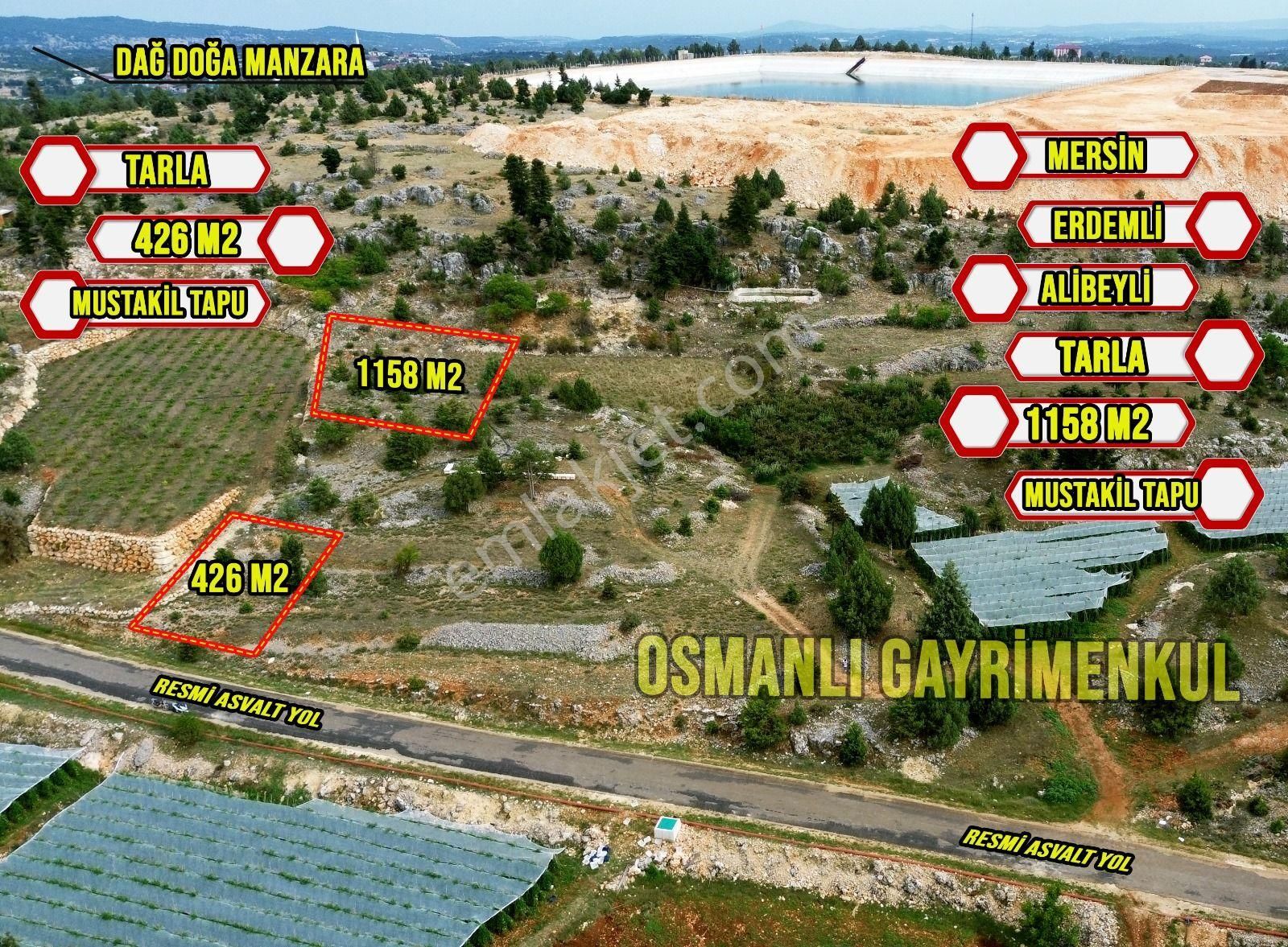 Fırsat Alibeyli Anayola Sıfır Satılık Parsel
