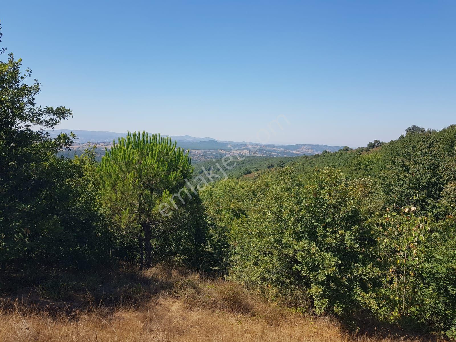 Çan Bozguç Köyü Satılık Tarla Çanakkale Çan bozguç köyünde satılık tarla 