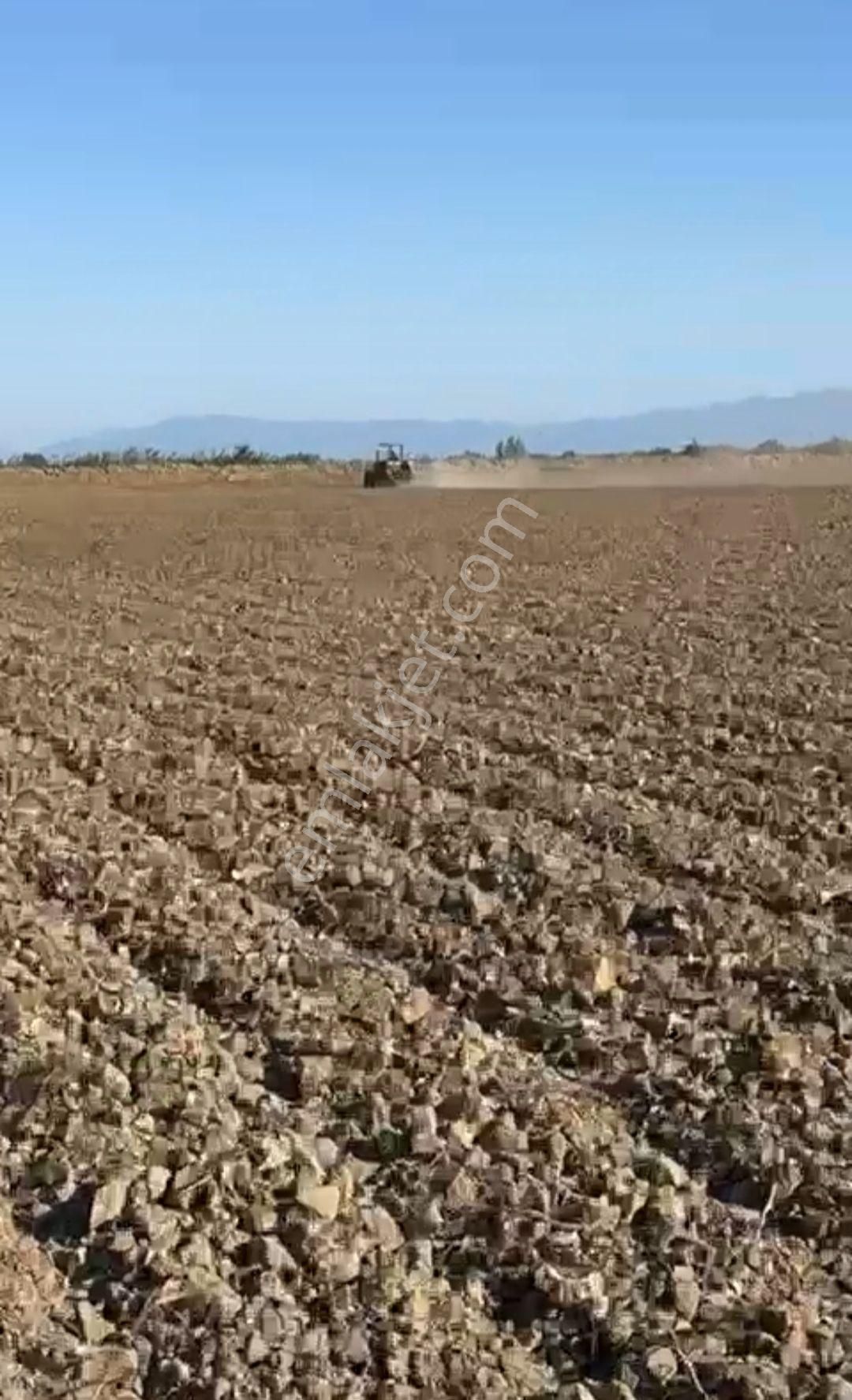 Karataş Adalı Satılık Tarla Tek Tapu Acil Satılık, Yatırımlık Arsa