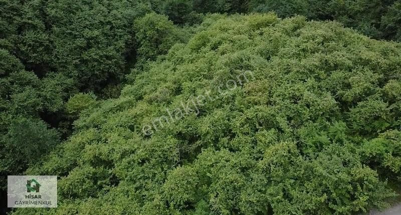 Yomra Yokuşlu Satılık Villa İmarlı HİSAR GAYRİMENKULDEN YOMRA YOKUŞLU'DA SATILIK 5 AYRI PARSEL ARSA