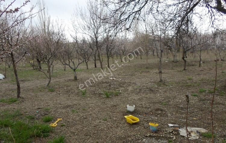 Hacılar Yediağaç Mah. Satılık Evli Arsa 1.400 M² Temiz Parselmerkeze 12 Km - Görsel 22