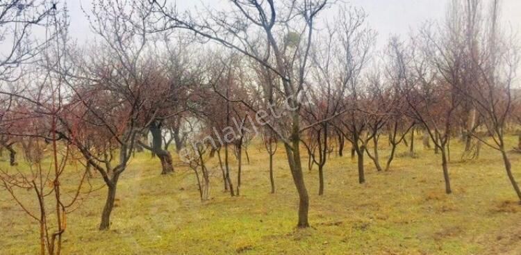 Hacılar Yediağaç Mah. Satılık Evli Arsa 1.400 M² Temiz Parselmerkeze 12 Km - Görsel 28