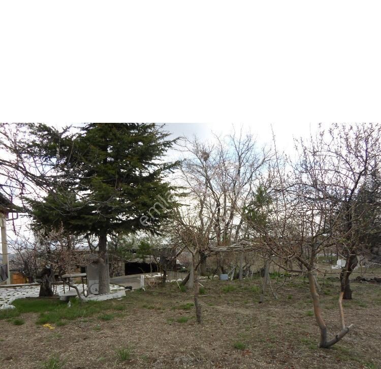 Hacılar Yediağaç Mah. Satılık Evli Arsa 1.400 M² Temiz Parselmerkeze 12 Km - Görsel 20