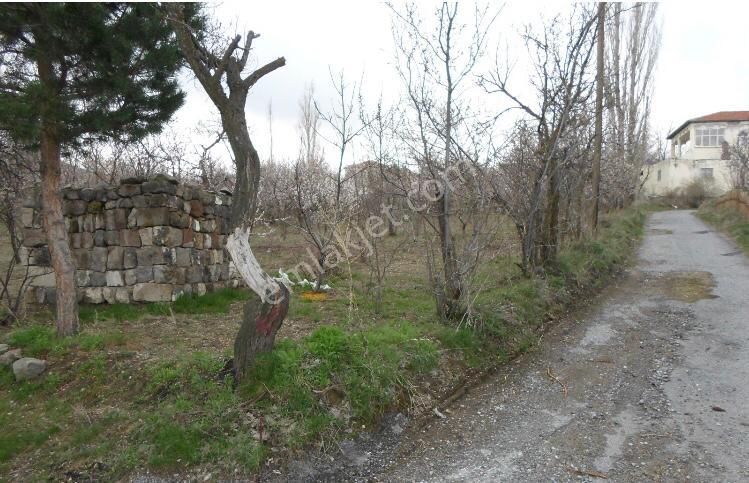 Hacılar Yediağaç Mah. Satılık Evli Arsa 1.400 M² Temiz Parselmerkeze 12 Km - Görsel 23