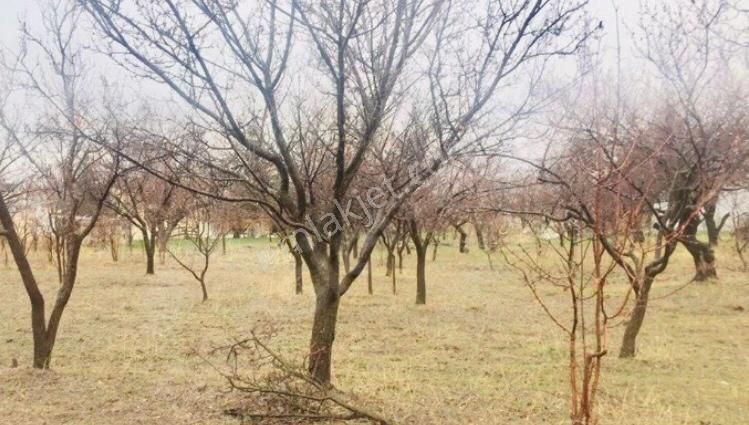 Hacılar Yediağaç Mah. Satılık Evli Arsa 1.400 M² Temiz Parselmerkeze 12 Km - Görsel 29