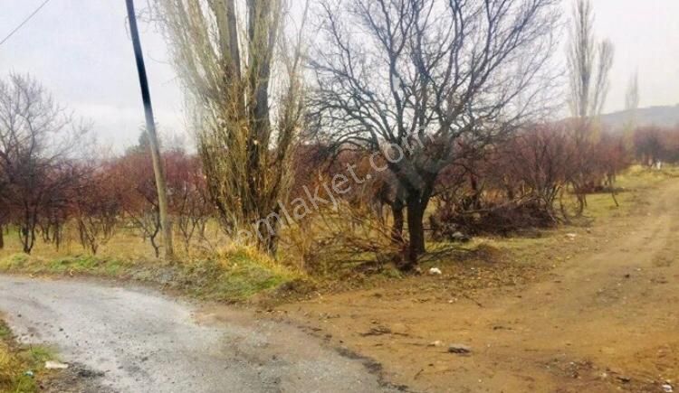 Hacılar Yediağaç Mah. Satılık Evli Arsa 1.400 M² Temiz Parselmerkeze 12 Km - Görsel 27