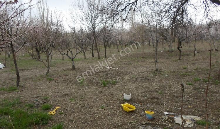 Hacılar Yediağaç Mah. Satılık Evli Arsa 1.400 M² Temiz Parselmerkeze 12 Km - Görsel 18