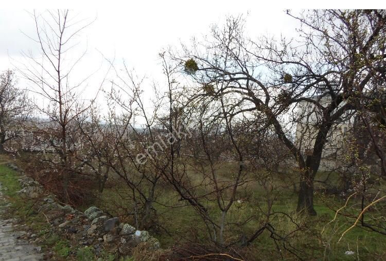 Hacılar Yediağaç Mah. Satılık Evli Arsa 1.400 M² Temiz Parselmerkeze 12 Km - Görsel 26