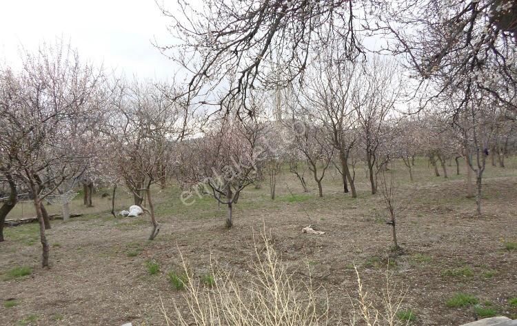 Hacılar Yediağaç Mah. Satılık Evli Arsa 1.400 M² Temiz Parselmerkeze 12 Km - Görsel 24