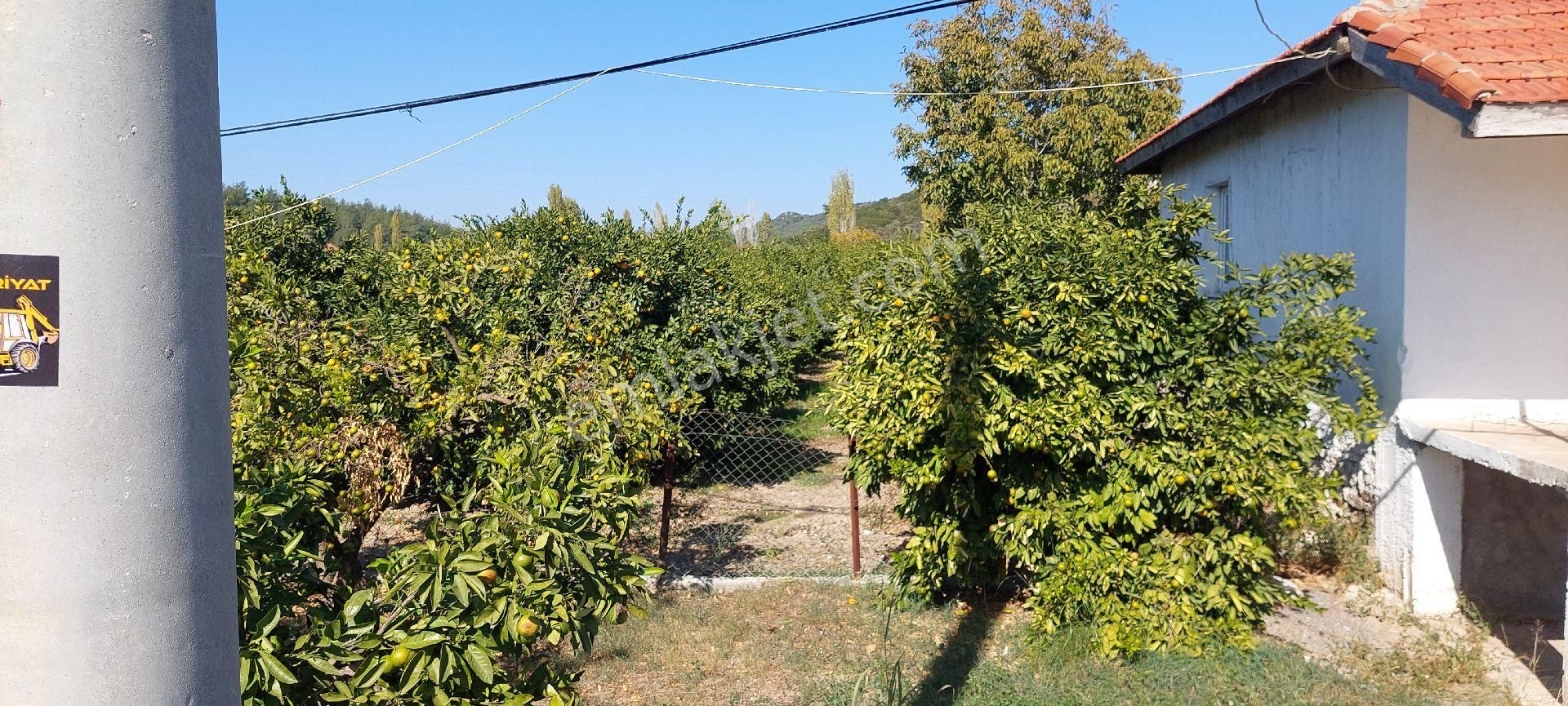 Seferihisar Kavakdere Mevkinde Satılık Müstakil Ev Ve Bahçe - Görsel 7
