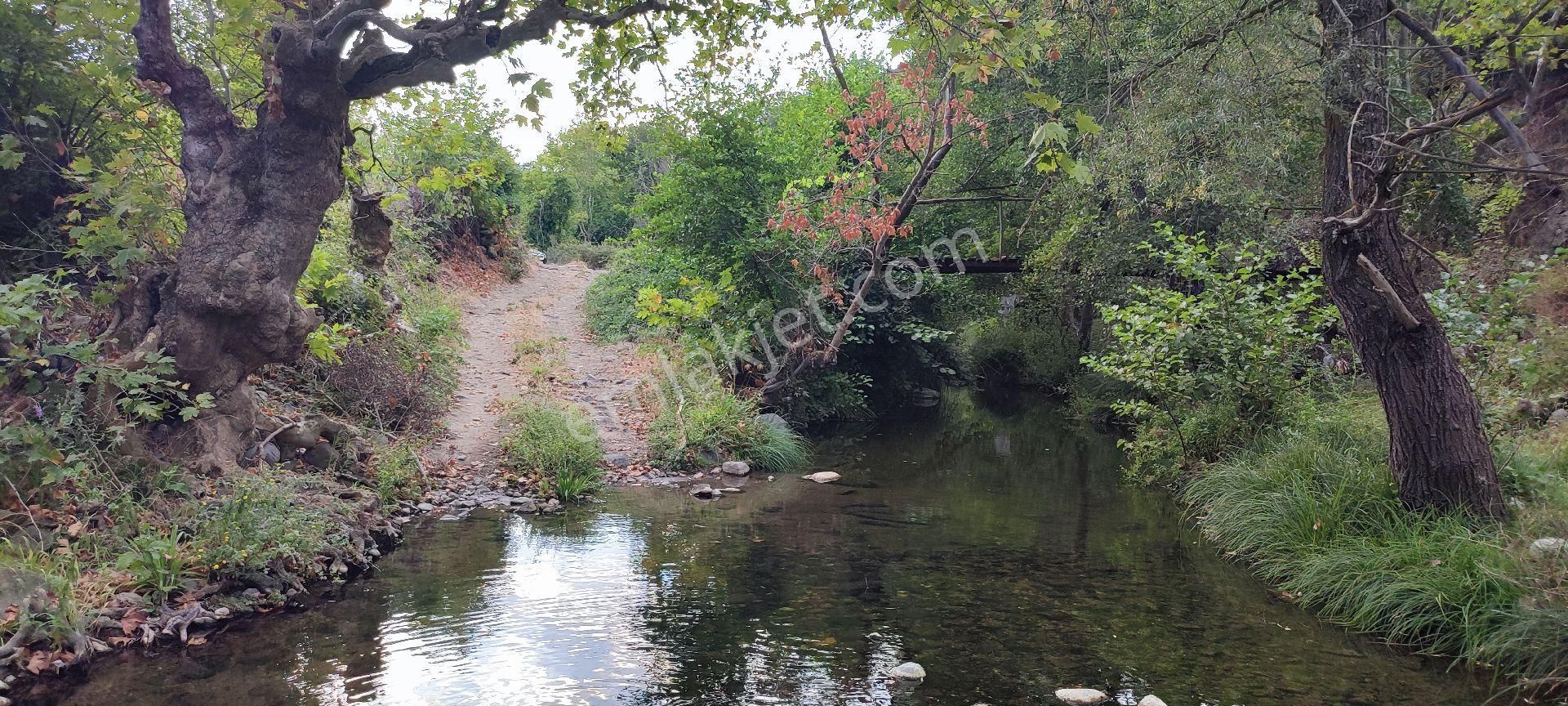 Altıeylül Ataköy Satılık Tarla Balıkesir'de Araç Takasına Uygun Doğayla İç İçe Muhteşem Hobi Bahçesi