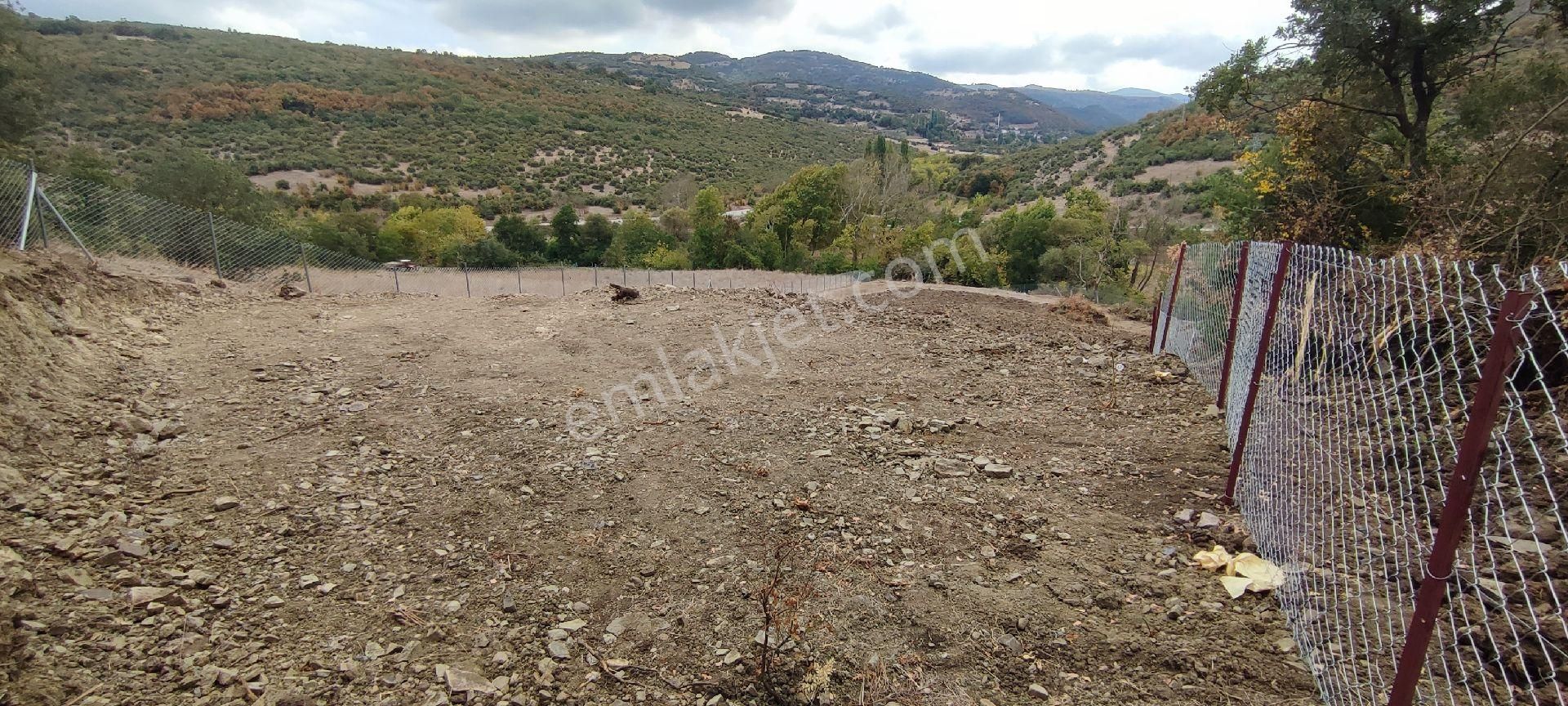 Altıeylül Ataköy Satılık Tarla Balıkesir'de Araç Takasına Uygun Doğayla İç İçe Muhteşem Hobi Bahçesi 