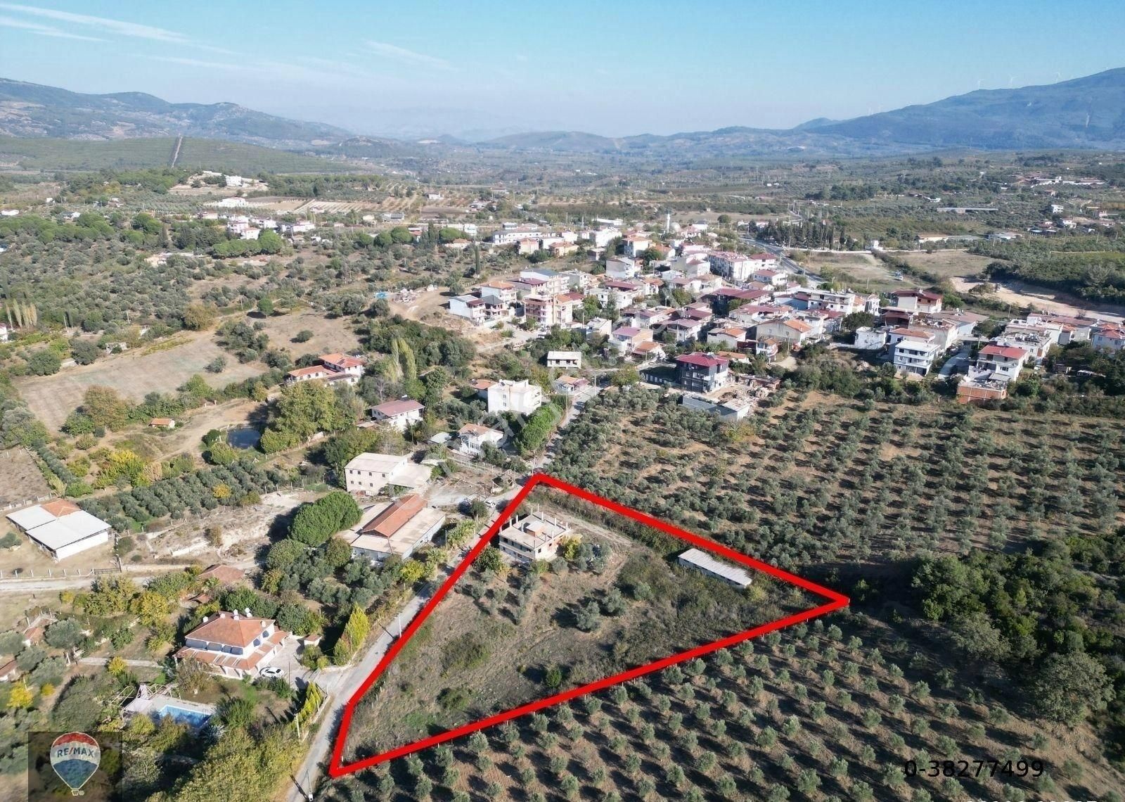 Kuşadası Yeniköy Satılık Tarla SATILIK- KUŞADASI YENİKÖY İÇERİSİNDE EVİ BULUNAN 4.117 M2 İNCİR BAHÇESİ...