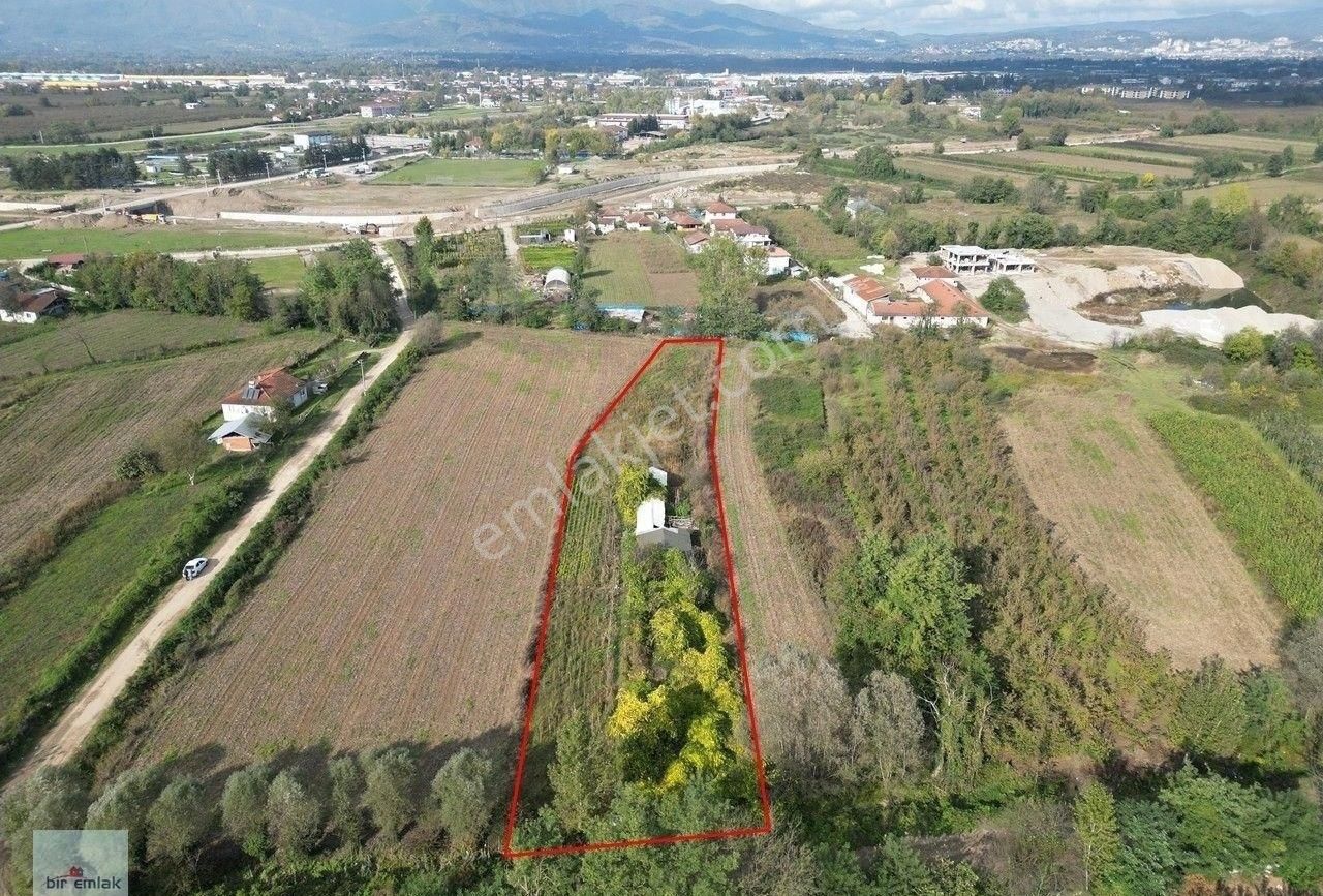 Düzce Merkez Yeni Taşköprü Köyü (Merkez) Satılık Tarla Bir Emlak'tan Yeni Taşköprü'de 3526 M2 Satılık Arsa