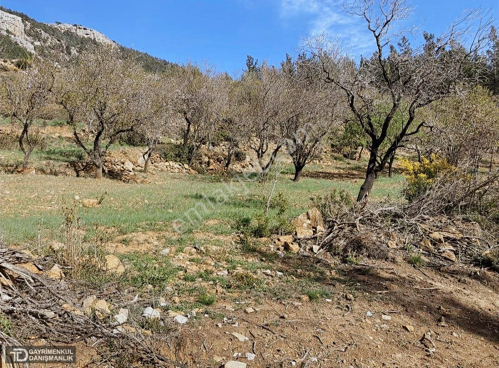 Aydıncık Eskiyürük Satılık Tarla AYDINCIK SATILIK 3075 M2 TARLA DENİZE EN YAKIN KÖY