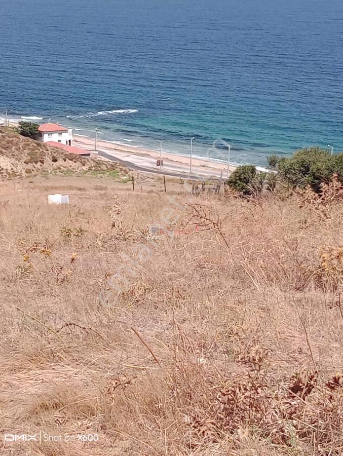 Biga Aksaz Köyü (Aksaz Mücavir) Satılık Bağ & Bahçe ÇANAKKALE BİGA AKSAZ MUHTEŞEM TARLAMIZ SATILIKTIR.