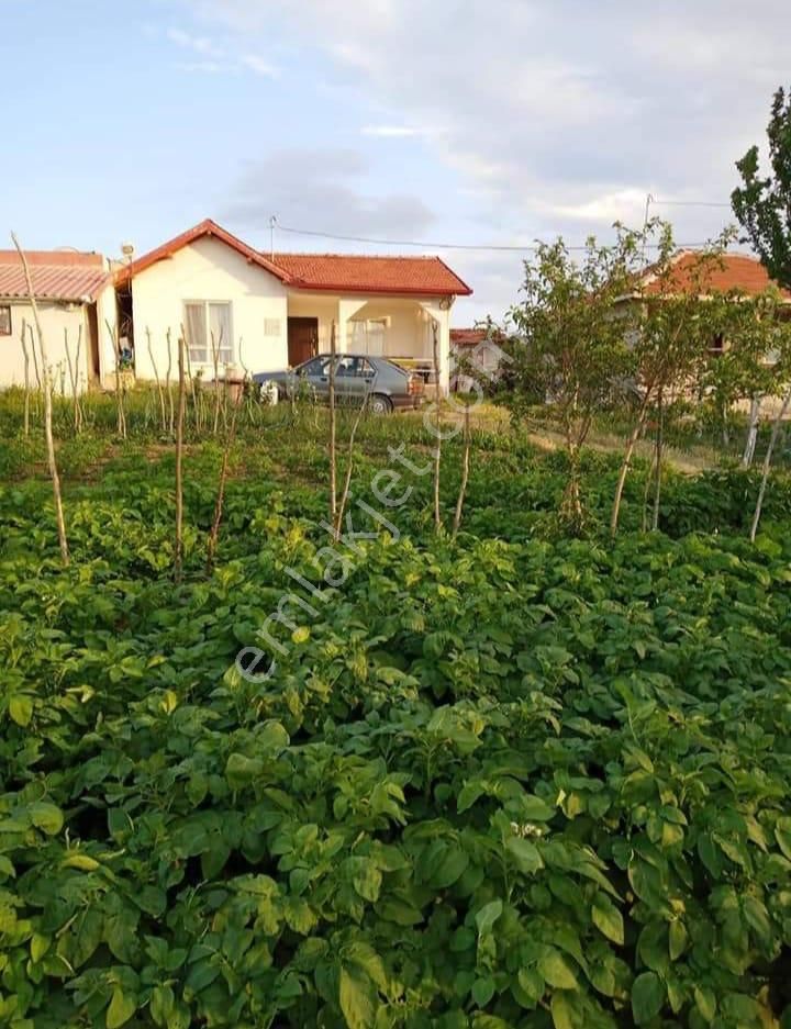 Çorum Merkez Eskiekin Köyü (Eskiekin Mücavir) Satılık Bağ & Bahçe  Çorum Merkez Eskiekin Köyünde Güzel Evli ve Garajlı Bağ