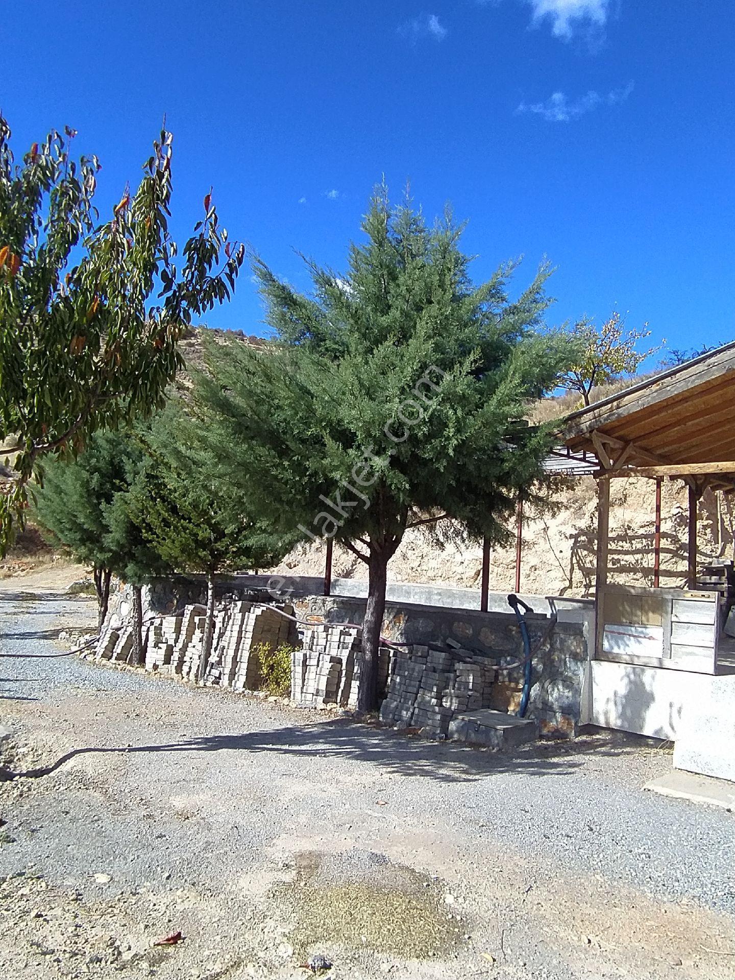 Malatya Konak'ta Bahçe - Görsel 11