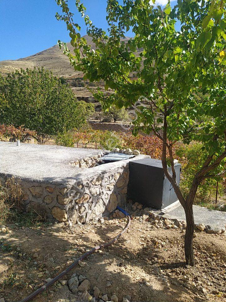 Malatya Konak'ta Bahçe - Görsel 6