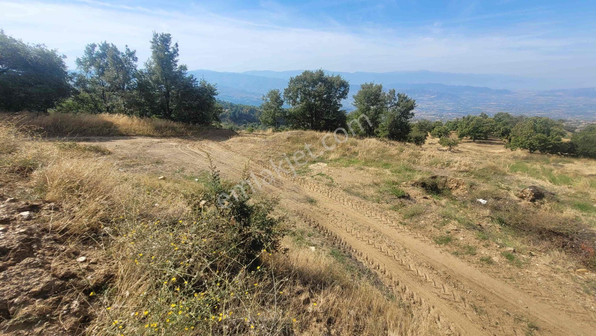 Kiraz Çayağzı Satılık Tarla META'dan Satılık Sondaj Suyu olan Asfalt Yol Kenarı Tarla