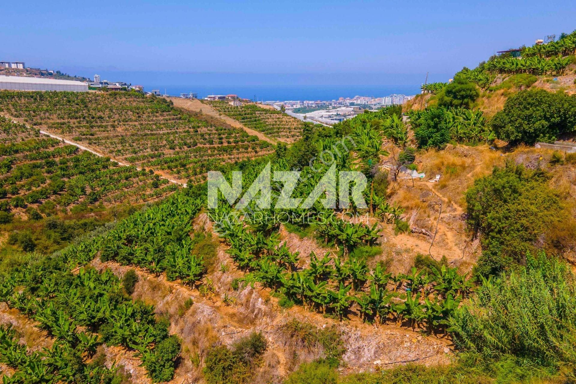 Alanya Şekerhane Satılık Konut İmarlı Alanya Kargıcak’ta Satılık İmarlı Manzaralı 553 M² Arsa