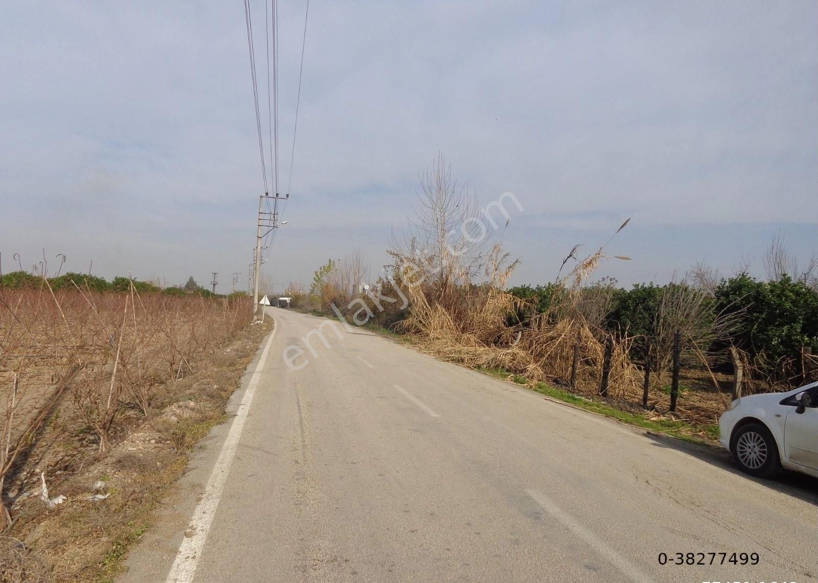 Seyhan Mıdık Satılık Bağ & Bahçe BESTE'DEN MIDIK MAH. T.ORHAN CD. ÜZERİ TEK TAPU 17800 M2 SATILIK BAHÇE