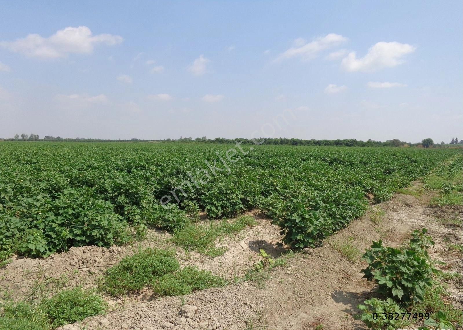 Yüreğir Havutlu Satılık Tarla BESTE'DEN YÜREĞİR MEZBEHANE  NEHİR CİVARI 19260 M2 SATILIK TARLA