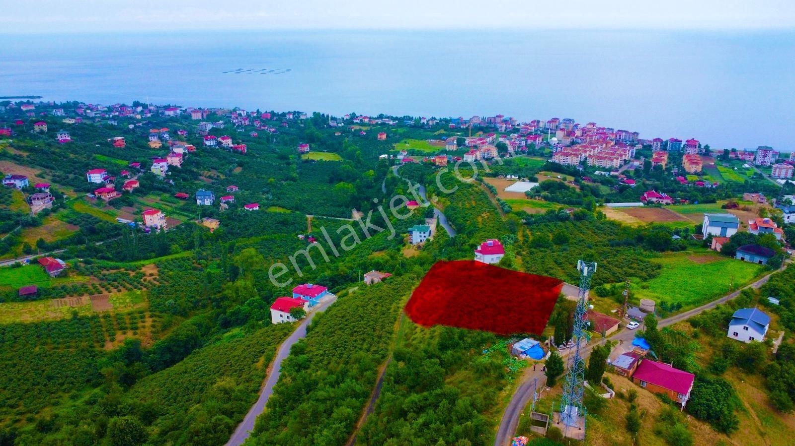 Akçaabat Darıca Satılık Bağ & Bahçe Darıca'da Satılık Arsa